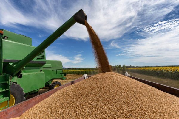 Setor agropecuário se alinha ao governo contra medida dos EUA
