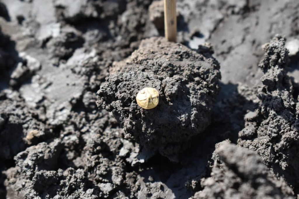 Tesouro celta de 2.200 anos é descoberto na República Tcheca