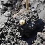 Tesouro celta de 2.200 anos é descoberto na República Tcheca