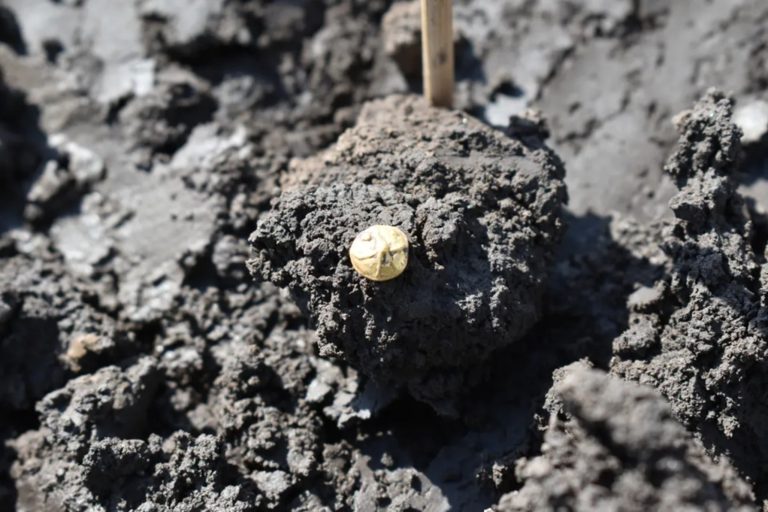 Tesouro celta de 2.200 anos é descoberto na República Tcheca