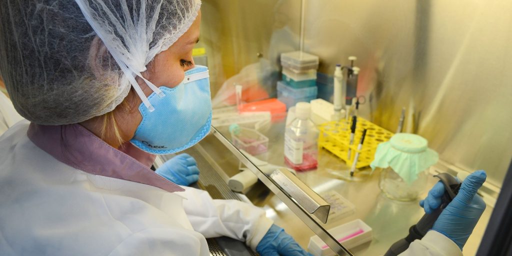 USP: pesquisa de vacina contra zika avança em testes com