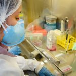 USP: pesquisa de vacina contra zika avança em testes com