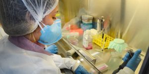 USP: pesquisa de vacina contra zika avança em testes com