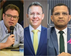 vereadores