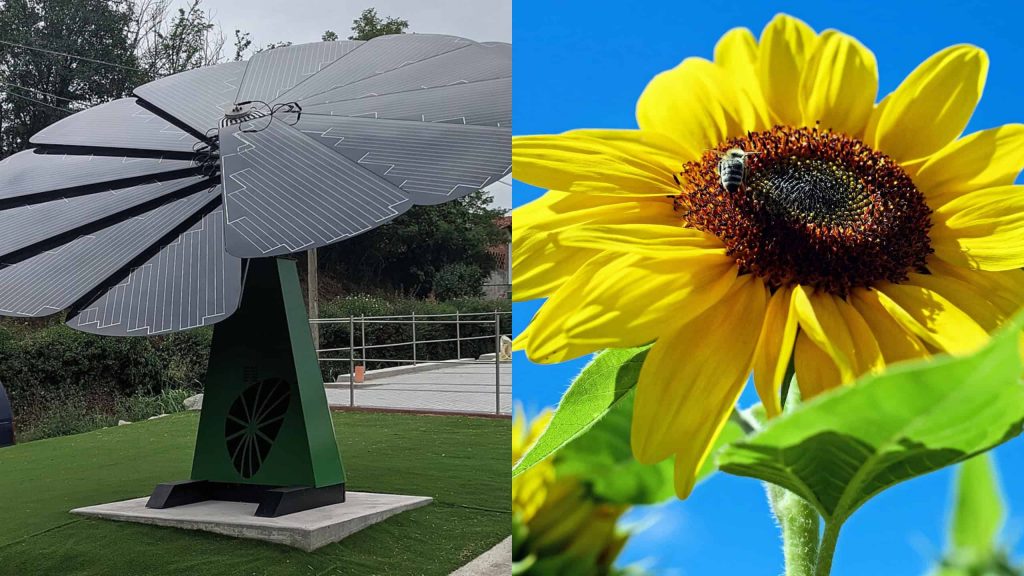 5 tecnologias que foram desenvolvidas com inspiração na natureza