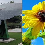 5 tecnologias que foram desenvolvidas com inspiração na natureza