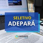 ADEPARÁ divulga mais de 50 vagas em novo processo seletivo