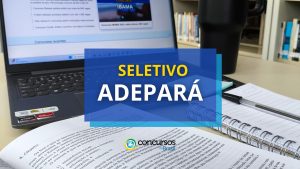 ADEPARÁ divulga mais de 50 vagas em novo processo seletivo
