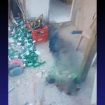 Assassinato na Cidade Olímpica: polícia investiga morte de cabeleireiro