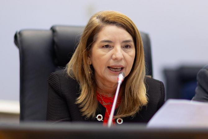 Assembleia se pronuncia sobre decisão de Flávio Dino em ação