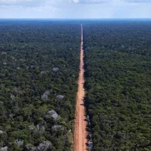 Bancada do agro articula derrubada de vetos de Lula ao
