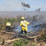 Bombeiros controlam incêndio no Piauí após 8 dias de combate