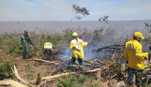 Bombeiros controlam incêndio no Piauí após 8 dias de combate
