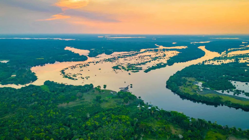 Brasil cria fundo que transforma florestas tropicais em “ativos financeiros”