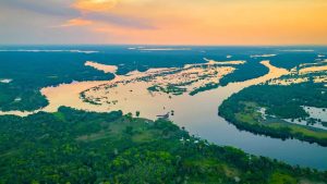 Brasil cria fundo que transforma florestas tropicais em “ativos financeiros”