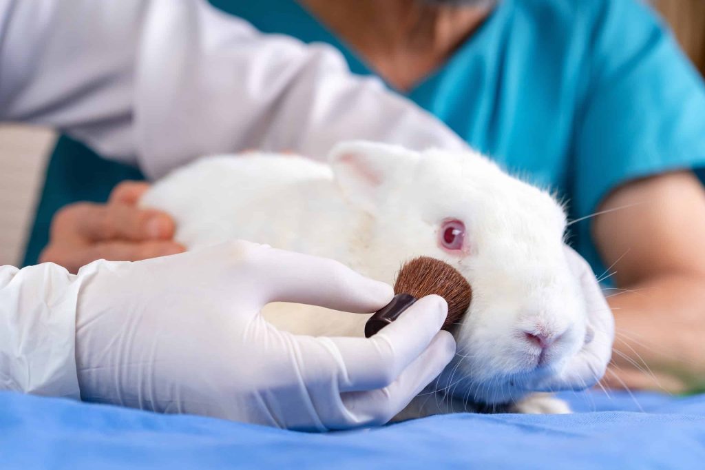 Brasil proíbe uso de animais em testes para cosméticos e