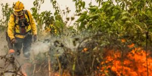 Brasil reduz focos de calor e áreas queimadas em julho;