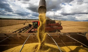 CNI mantém previsão de alta do PIB em 2,3% mesmo