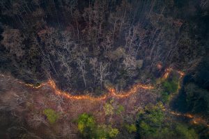 Calor gerado por desmatamento causa 28 mil mortes por ano