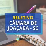 Câmara de Joaçaba - SC abre seletivo para Analista Legislativo
