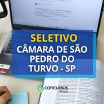 Câmara de São Pedro do Turvo