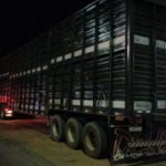 Caminhoneiro embriagado é preso pela PRF, em Imperatriz, transportando cabeças