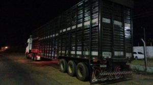 Caminhoneiro embriagado é preso pela PRF, em Imperatriz, transportando cabeças