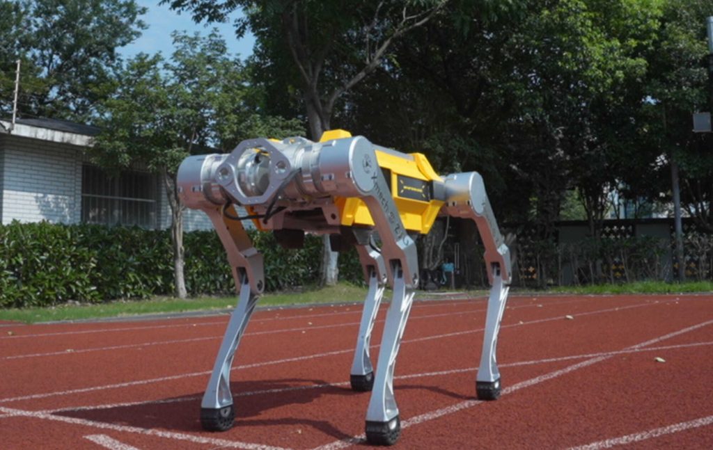 Cão-robô chinês entra para o Guinness Book; veja por quê