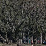 Cidade de São Paulo tem agosto mais seco desde 2020