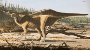 Cientistas descobrem novo dinossauro com “vela” nas costas