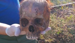 Crânio humano é encontrado na Vila Maranhão, em São Luís