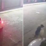 Criminosos arrombam joalheria com veículo e causam prejuízos