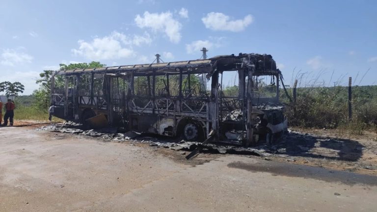 Criminosos ateiam fogo em ônibus na zona rural de São