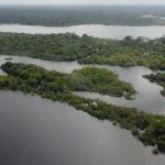 Desmatamento na Amazônia se mantém em baixa, mas incêndios elevam