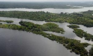 Desmatamento na Amazônia se mantém em baixa, mas incêndios elevam