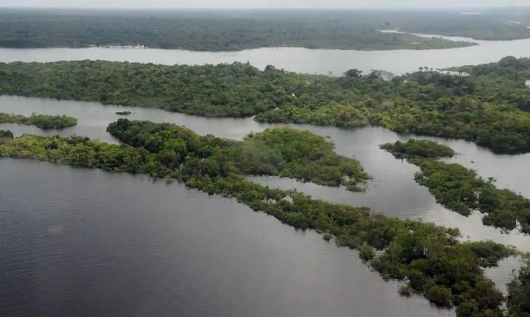 Desmatamento na Amazônia se mantém em baixa, mas incêndios elevam