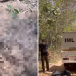 Dois corpos esquartejados são encontrados em área de mata