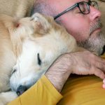 Dormir com cachorro e gato faz mal à saúde?