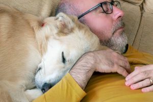 Dormir com cachorro e gato faz mal à saúde?