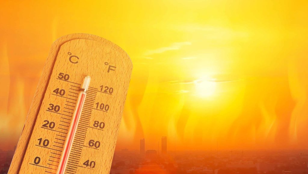Espanha: Calor bate recorde e provoca incêndios florestais