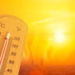 Espanha: Calor bate recorde e provoca incêndios florestais