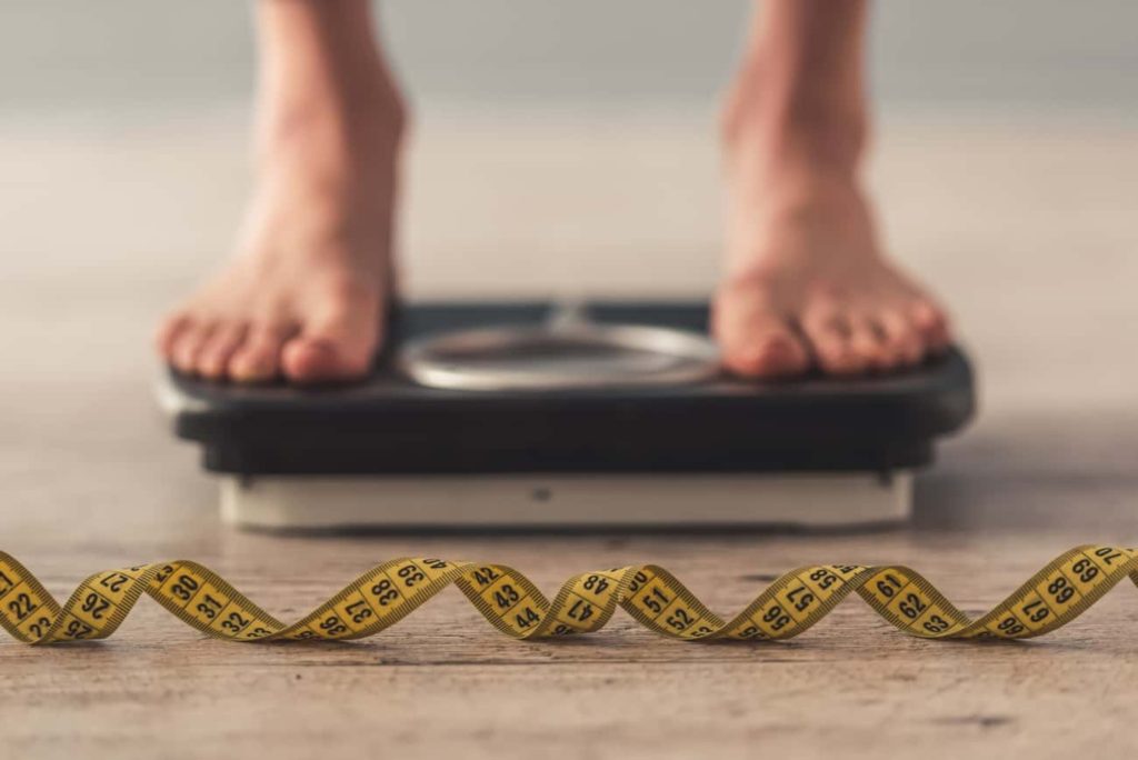 Esta proteína pode ajudar a combater a obesidade