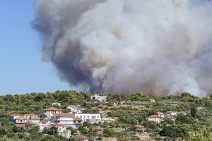 Estudo: Efeitos de fumaça de incêndios florestais podem ser fatais