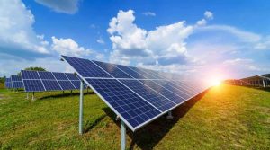 Estudo revela que custo da energia solar caiu 99% desde