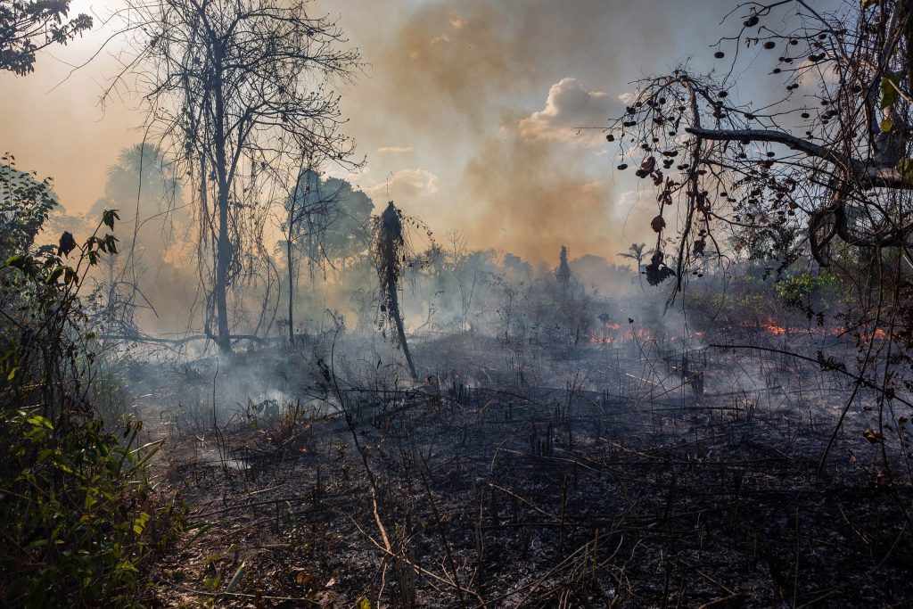 Exclusivo: “Amazônia está à beira do precipício”, alerta Carlos Nobre