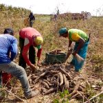 Governo do Maranhão lança Programa Tempo de Semear para agricultores