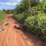 Homem é encontrado morto em estrada vicinal de Bacabeira