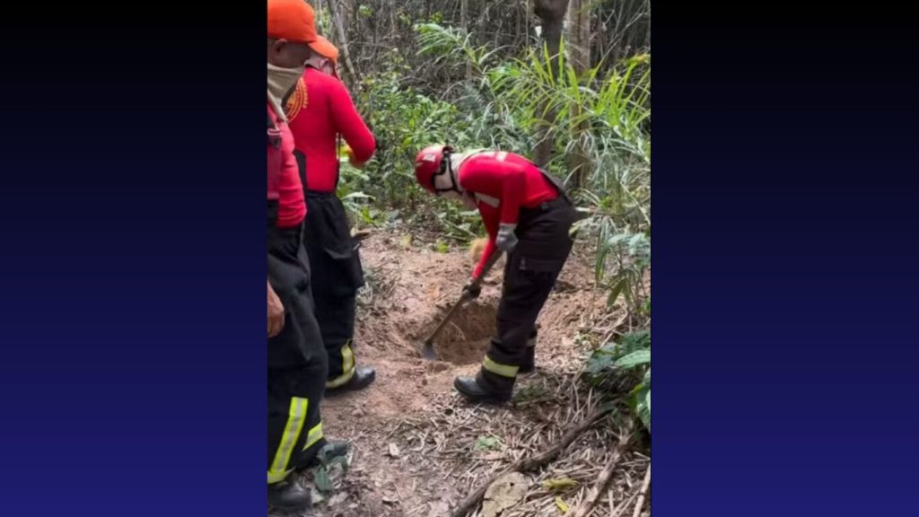 Horror em Imperatriz: dois corpos esquartejados são encontrados enterrados