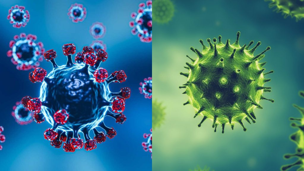 Influenza e Covid: pesquisadora da Fiocruz responde dúvidas sobre os