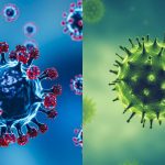 Influenza e Covid: pesquisadora da Fiocruz responde dúvidas sobre os